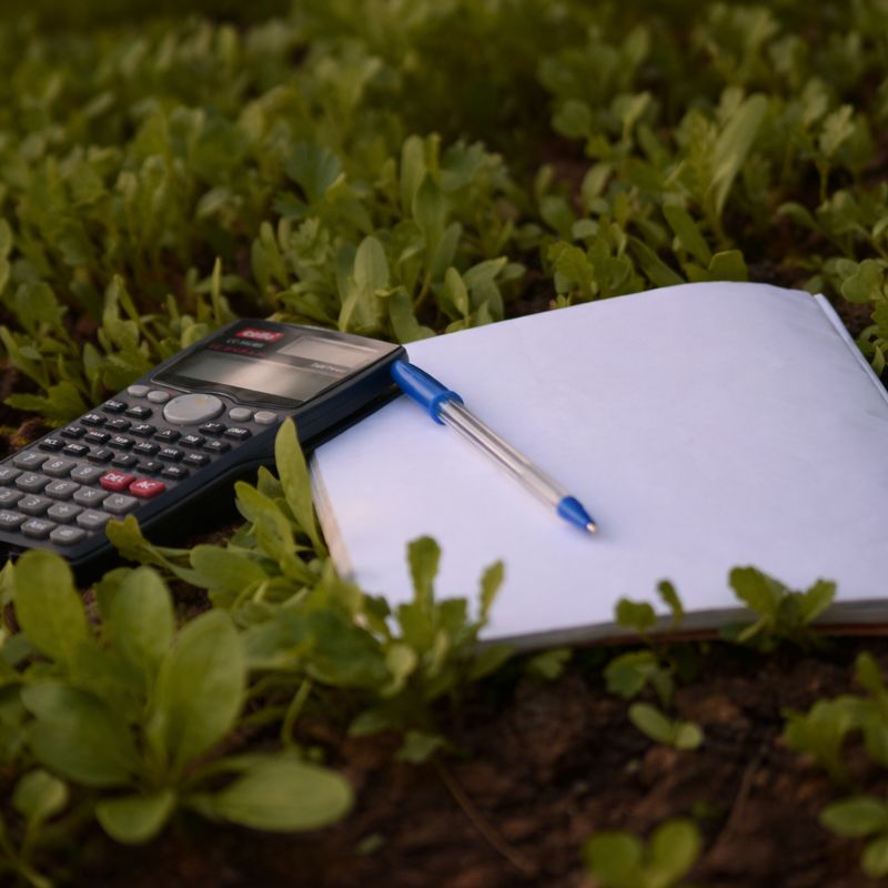 Fee Simple Ownership
